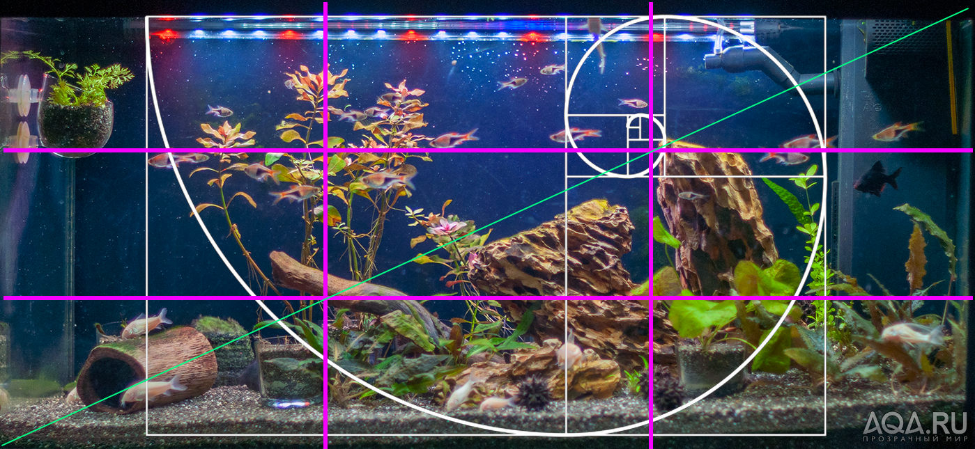 3. Принципы расположения коряг в аквариуме
