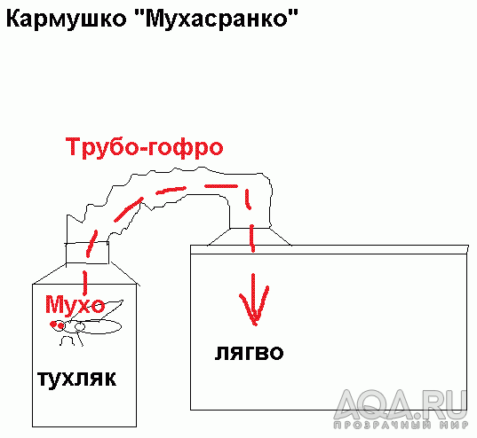 для форума