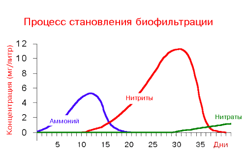 для форума