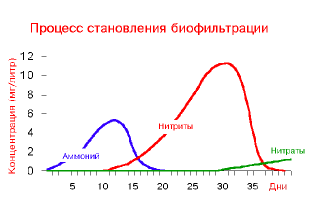 для форума