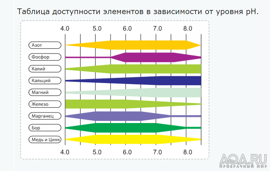 Растения болеют или водоросли