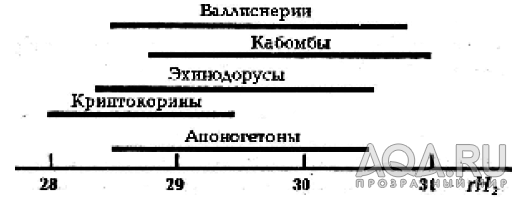 Редокс-потенциал