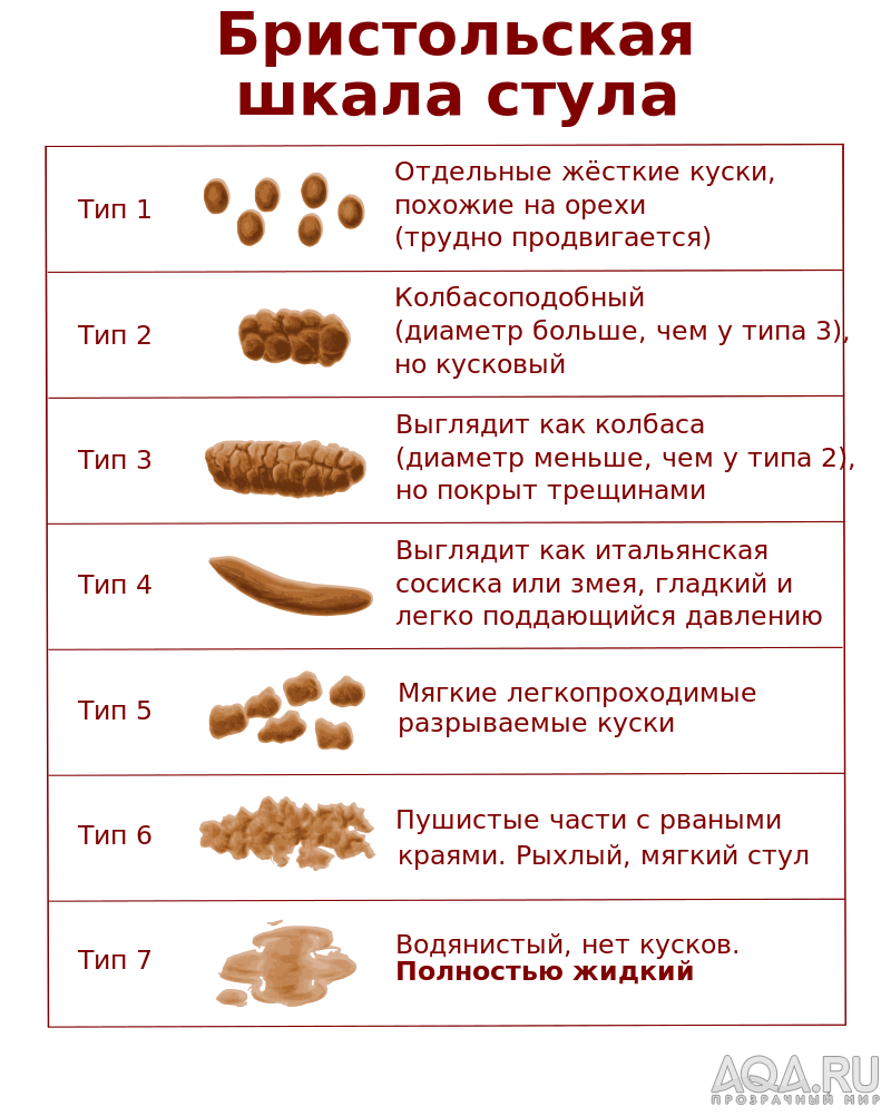 Московский Бамбук.