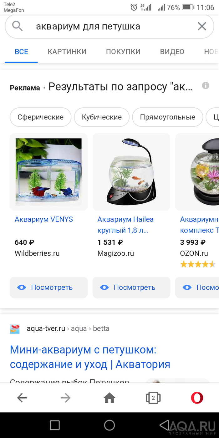 Выбор нового аквариума для петушка. Нужен совет!