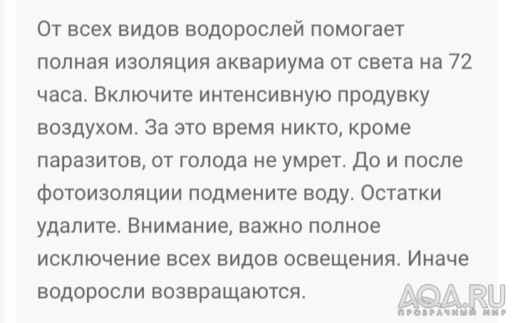 Ворсинки на растениях, при запуске 60л,колышатся от тока воды