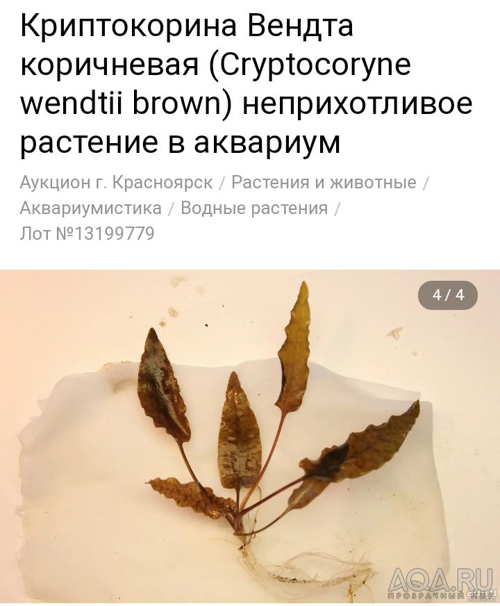 Помогите опознать