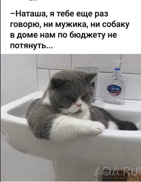 приколы..