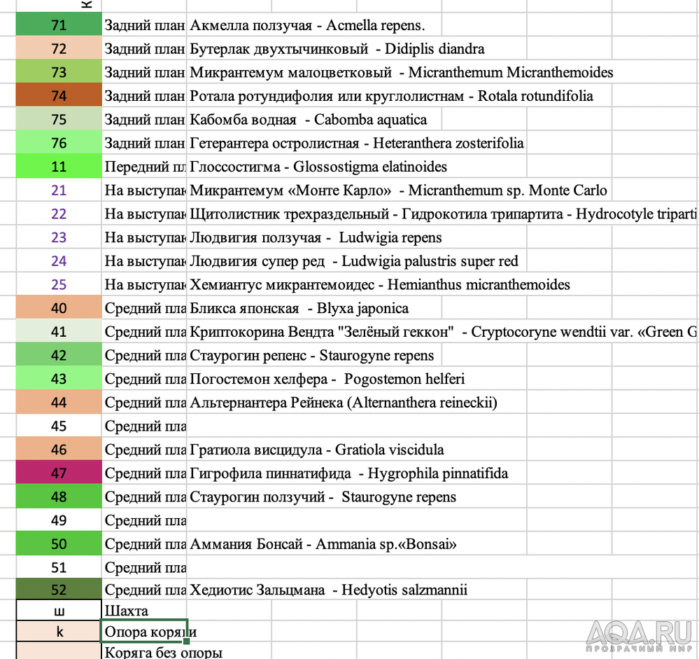 Посоветуйте самые интересные растения среднего плана в аквариум на грунте ADA