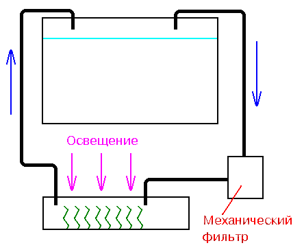 Фитофильтр