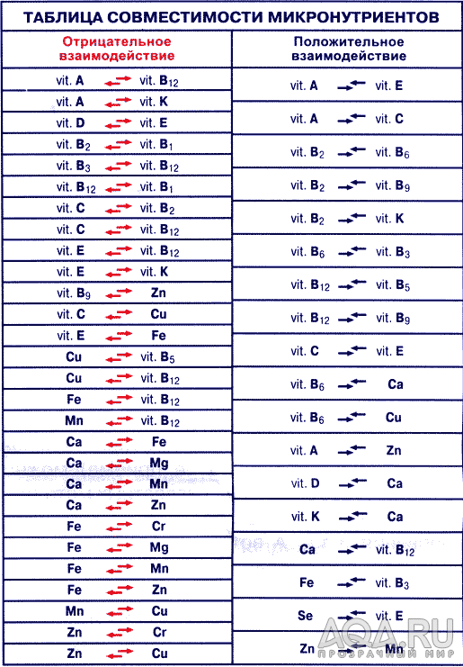 витаминный антогонизм и синергизм