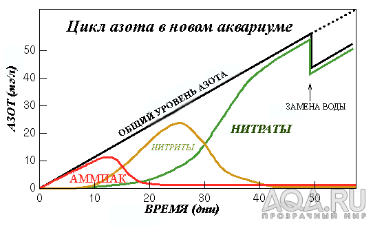 цикл