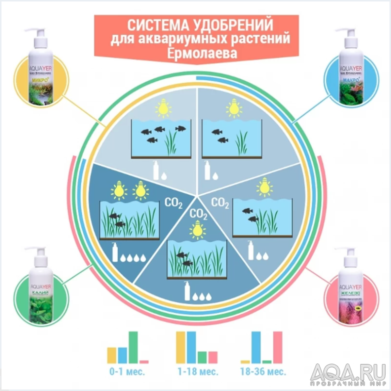 Перестали расти Бликсы: Японская, Новогвинейская, Обера.