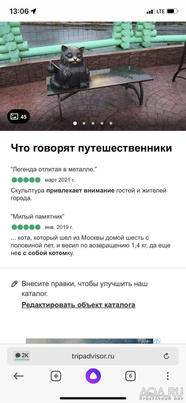 Запуск аквариума 10л для петушка с нуля.