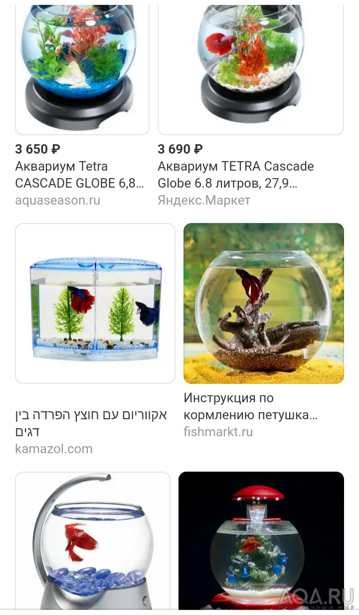 Моя планета BETTA