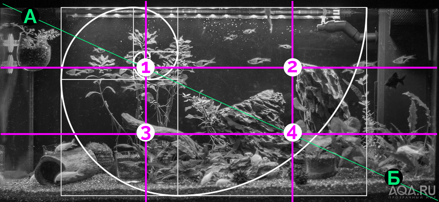 3. Принципы расположения коряг в аквариуме
