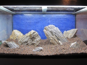 Hardscape