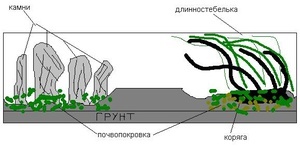 для форума