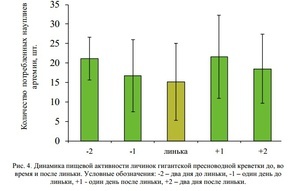 для форума