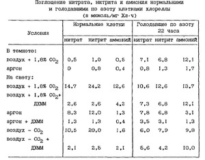 Поглощение азота растениями