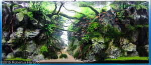 International Aquascaping Contest 