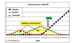 Азотный цикл в аквариуме легко и просто.