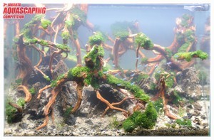 3rd Jakarta Aquascaping Competition