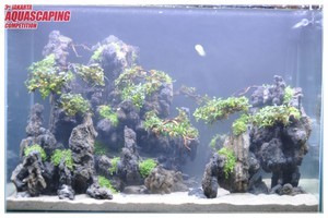 3rd Jakarta Aquascaping Competition