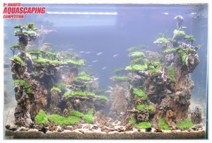 3rd Jakarta Aquascaping Competition