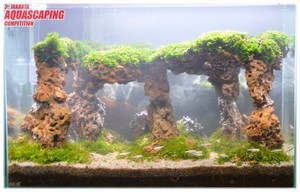 3rd Jakarta Aquascaping Competition