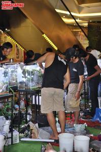 jakarta aquascaping 2017