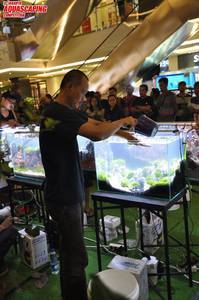 jakarta aquascaping 2017