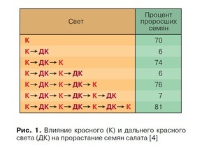 красная часть спектра 