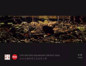  CIPS Biotope Aquarium Contest 2018: 