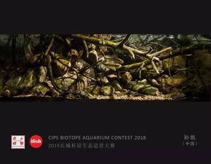  CIPS Biotope Aquarium Contest 2018: 