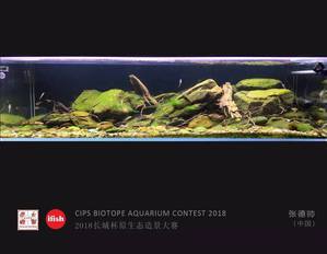  CIPS Biotope Aquarium Contest 2018: 