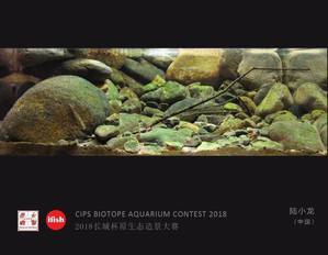  CIPS Biotope Aquarium Contest 2018: 