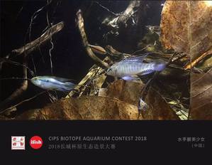  CIPS Biotope Aquarium Contest 2018: 