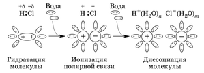 Зачем варить корягу в соли 