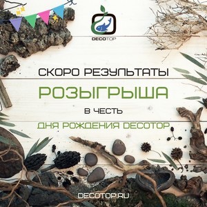 Распродажи и розыгрыши. Грунты, камни, коряги, органика и наполнители DECOTOP