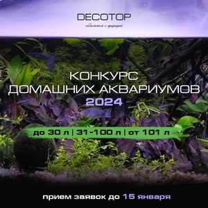 Распродажи и розыгрыши. Грунты, камни, коряги, органика и наполнители DECOTOP