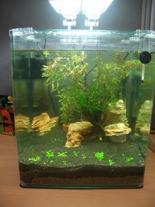 Nano Cube 30l