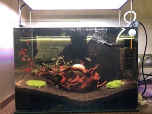 scape 40l