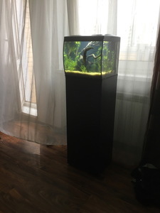 HAGEN FLUVAL Flex 34...ещё одна история