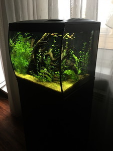 HAGEN FLUVAL Flex 34...ещё одна история