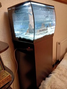 HAGEN FLUVAL Flex 34 ... возвращение к малым объемам