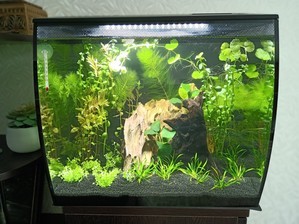 HAGEN FLUVAL Flex 34 ... возвращение к малым объемам