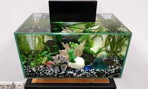 Разрыв шаблона - офисный Fluval Edge 2.0