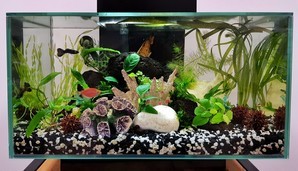 Разрыв шаблона - офисный Fluval Edge 2.0