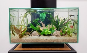 Разрыв шаблона - офисный Fluval Edge 2.0