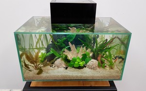 Разрыв шаблона - офисный Fluval Edge 2.0